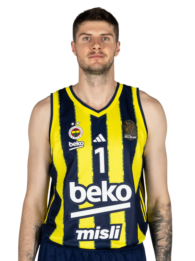 Metecan Birsen